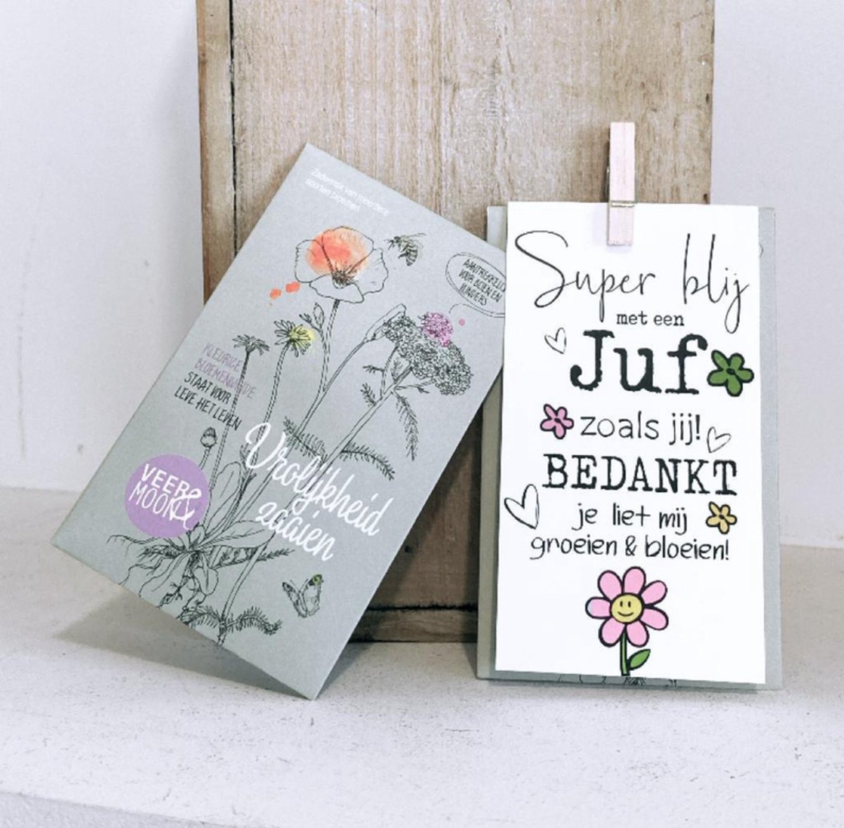 Juffen cadeau | Bedankje voor de juf| Juffendag cadeau | Bloemenzaadjes groeien en bloeien